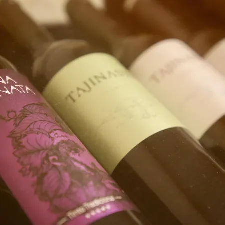 Puerto Palace 拉克鲁斯